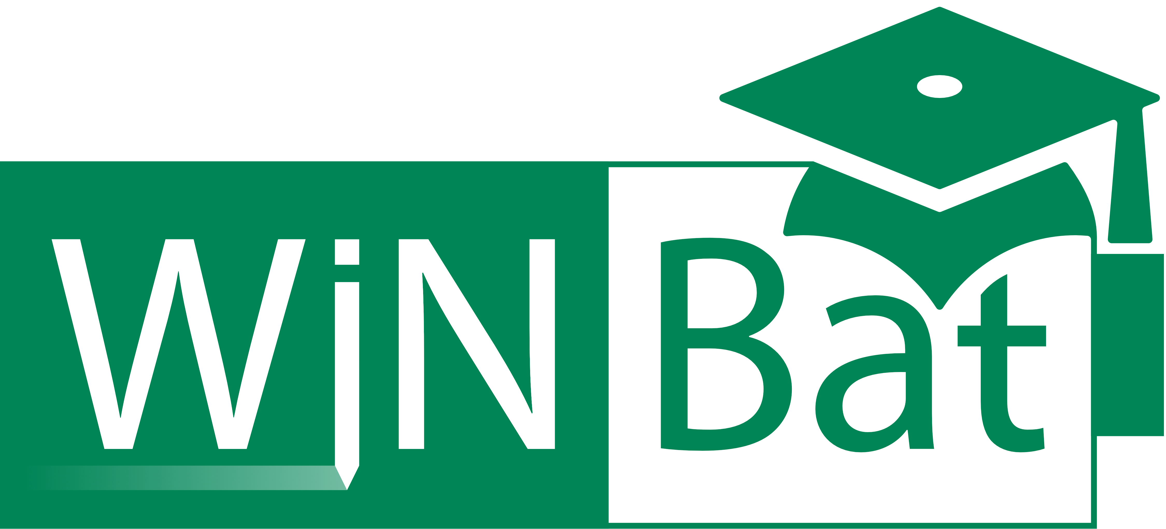 Logo WiNBat Projekt